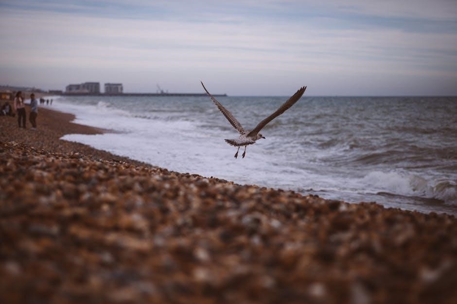 they were her property pdf